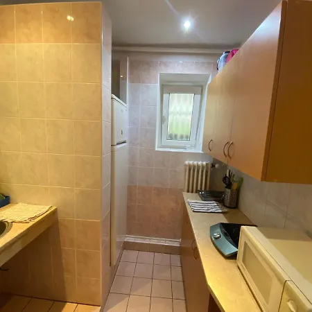 Pod Zamkem 招待所 普鲁奥尼斯